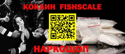 индика Партизанск