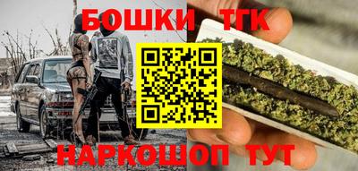индика Партизанск