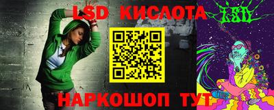 индика Партизанск