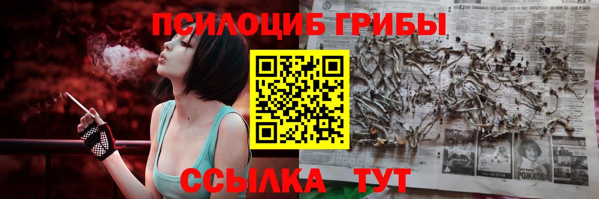как найти закладки  Вход с VPN  Севастополь  Галлюциногенные грибы Cubensis 